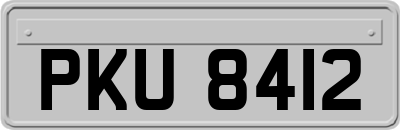 PKU8412