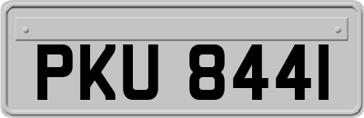 PKU8441