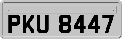PKU8447