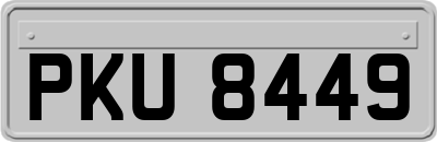 PKU8449