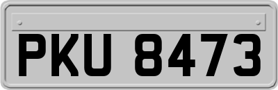 PKU8473