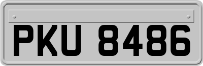 PKU8486
