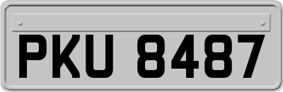 PKU8487