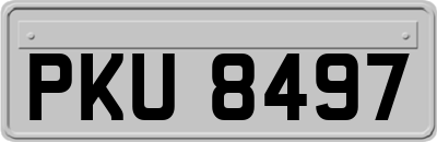 PKU8497