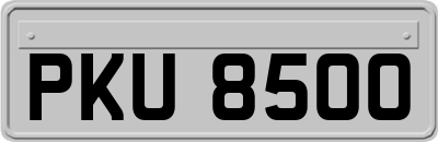 PKU8500