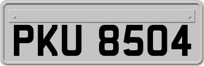 PKU8504