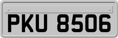 PKU8506