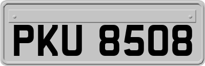 PKU8508