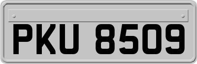 PKU8509