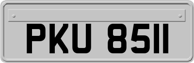 PKU8511