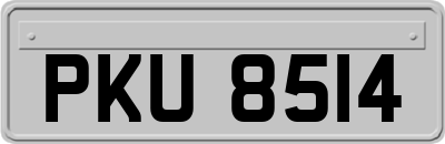 PKU8514