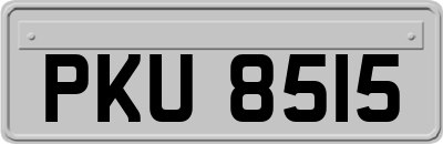 PKU8515