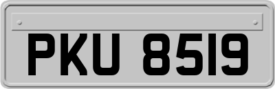 PKU8519