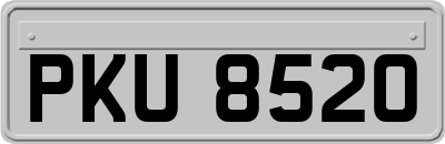 PKU8520