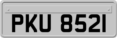 PKU8521