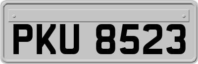 PKU8523