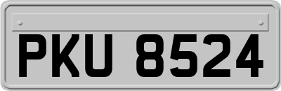 PKU8524