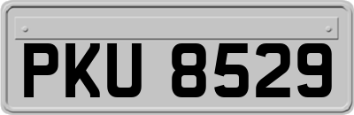 PKU8529
