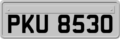 PKU8530