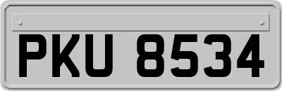 PKU8534