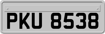PKU8538