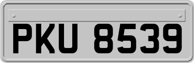 PKU8539