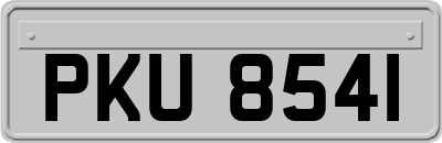 PKU8541