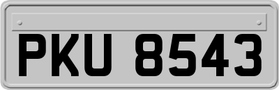 PKU8543