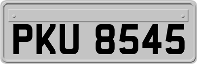 PKU8545