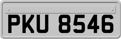 PKU8546