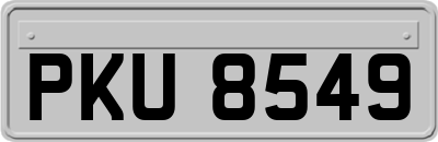 PKU8549
