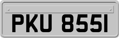 PKU8551