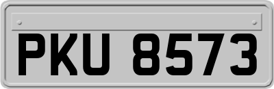 PKU8573