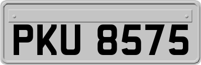 PKU8575