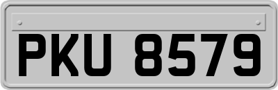 PKU8579