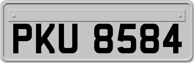 PKU8584