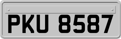 PKU8587