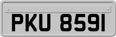 PKU8591