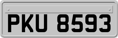 PKU8593