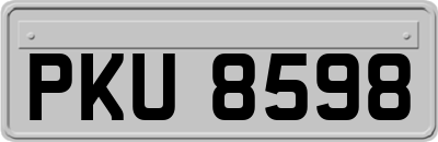 PKU8598