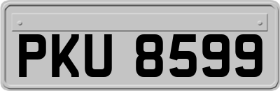 PKU8599