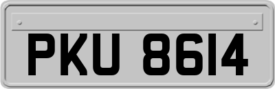 PKU8614