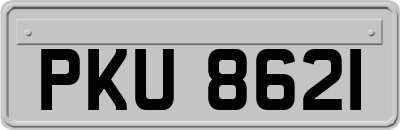 PKU8621