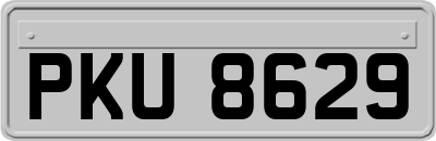 PKU8629