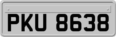 PKU8638