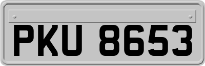 PKU8653