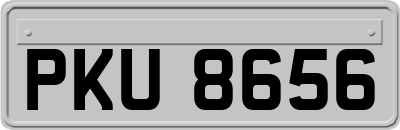 PKU8656