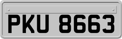 PKU8663