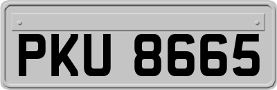 PKU8665