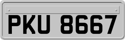 PKU8667